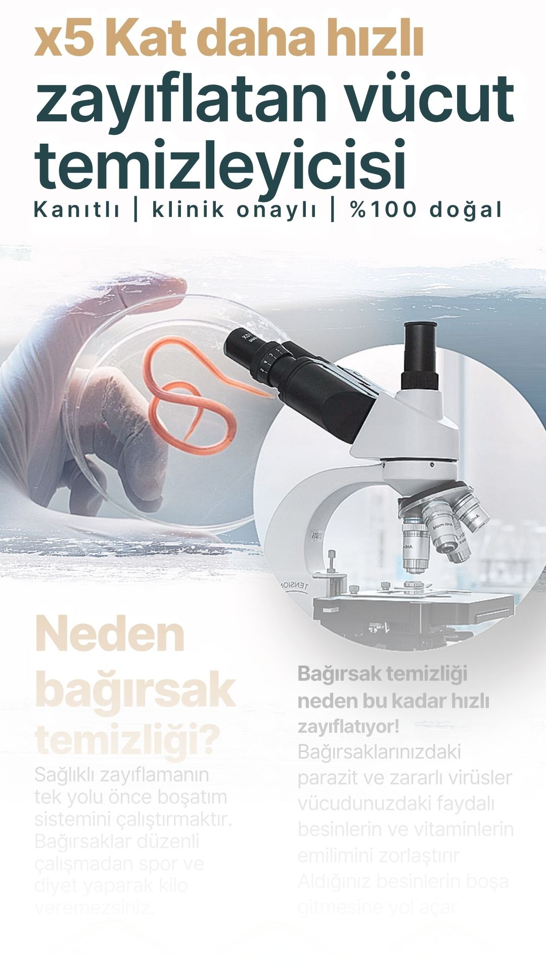 Yaprak Site Tasarımı 34