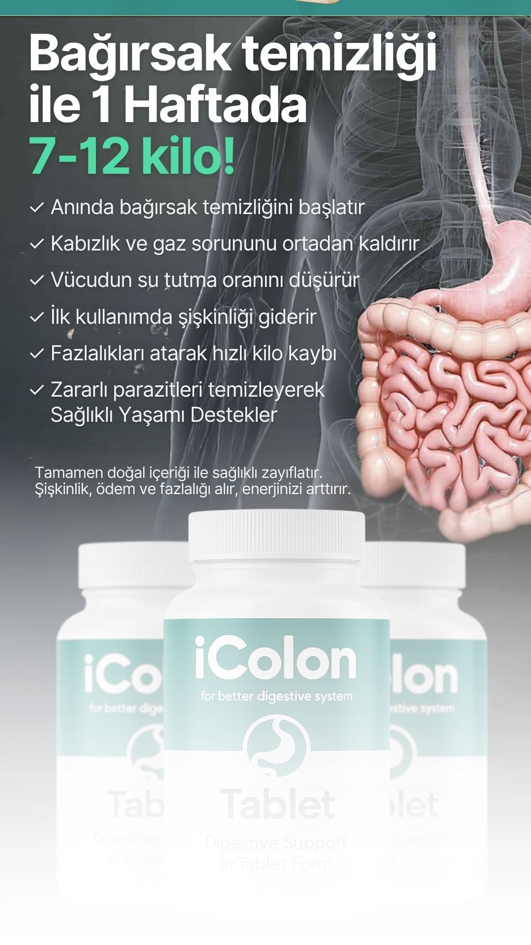 Yaprak Site Tasarımı 36